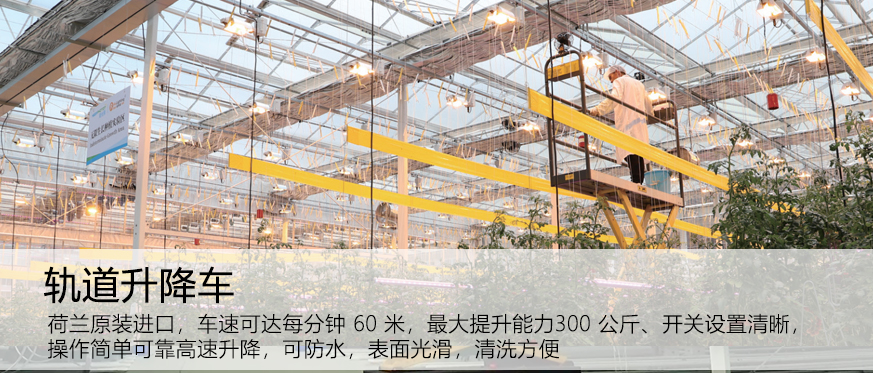 右1